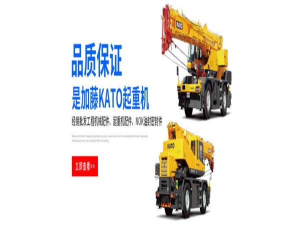 龙游县吊车电话_怎么选择吊车出租公司